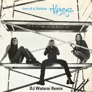 【国内盤/12】Honeyz / Love Of A Lifetime (DJ Watarai Remix) ■ Mercury / MR-092