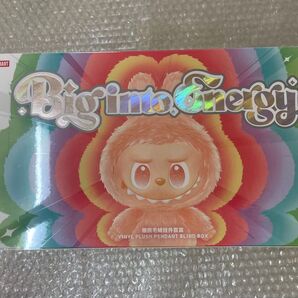 Big into Energy ラブブ labubu シュリンク アソートBOX
