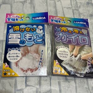 ふしぎな実験キット 冷え冷えカイロ 溶けない雪のもと 2個セット 実験 科学 簡単 研究