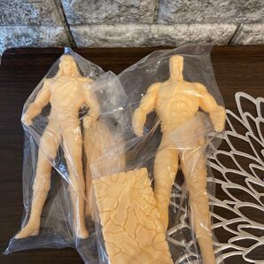 ガレージキット IAカンパニー 北斗の拳 トキ カイオウ2体セット