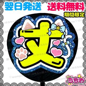 【N126c3】藤原丈一郎/うちわ文字/貼るだけ/カット済み/名前団扇/文字パネル/ファンサ/コンサート/ライブ/規定内