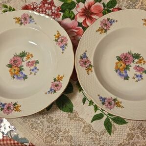 レア!超美品!チェコスロバキアThun社スープ皿2枚