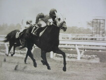 貴重 古い　新聞社の報道写真 (13) ”競馬 「リニアクイン」松田幸春騎手　「1977年優駿牝馬：オークス」”　1977年5月22日_画像4
