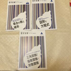 苦手克服シリーズ 数学 参考書 3冊セット 図形と方程式 場合の数と確率 三角関数/指数関数・対数関数 進研ゼミ高校講座