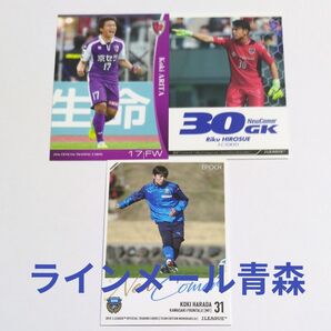 ラインメール青森 所属選手 トレーディングカード3枚セット