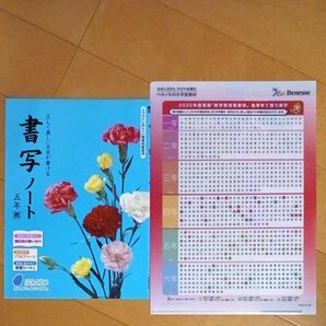 書写ノート 5年 五年 小学生 小学校 全学年 漢字 一覧表 クリアファイル