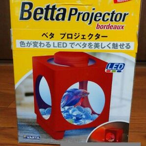 Tetra Betta Projector ベタプロジェクター LED 2個セット ライト付き小型水槽
