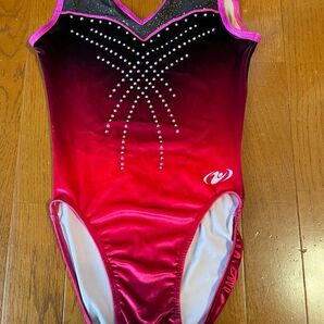 体操 レオタード グラデーション ラインストーン