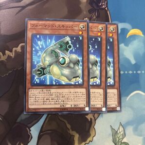 フォーマッド・スキッパー 3枚セット