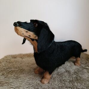 リアル ダックスフント置物