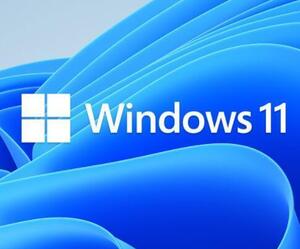 【決済即発 送認証保証】windows 11 proプロダクトキー 正規 新規インストール/Windows7.8.8.1 HOMEからアップグレード可能