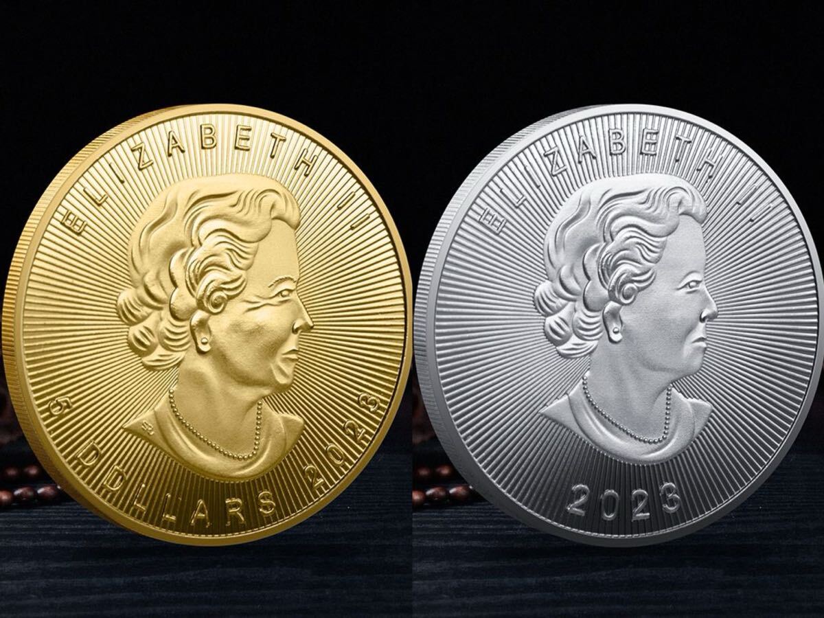 2025年最新】Yahoo!オークション -カナダ コインセットの中古品