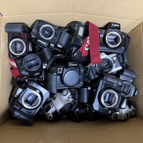 2025年最新】大量セット - 絶版フィルムカメラやレトロな商品が