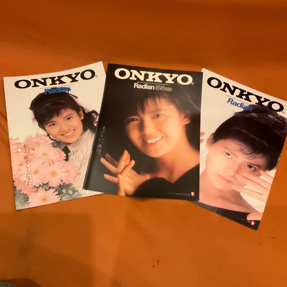 Yahoo!オークション -「南野陽子onkyo」の落札相場・落札価格