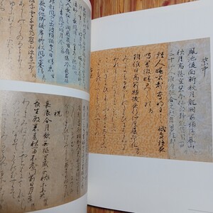 図録 宮廷のみやび 近衛家1000年の名宝●宮廷貴族 王朝文化 御堂関白記 藤原道長 公家日記 家熙 筆跡 古筆 書状 和歌懐紙 太刀 御所人形 本