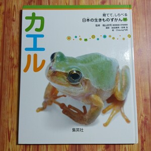 本 育てて、しらべる 日本の生きものずかん 2 カエル●集英社 蛙 おたまじゃくし アマガエル 育て方