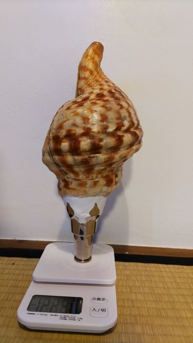 中古　法螺貝送料無料 2025年最新】Yahoo!オークション -#法螺貝の中古品・新品・未