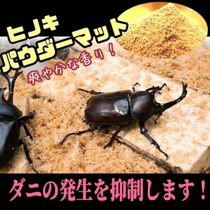 クワガタ・カブトムシの成虫管理はコレです! ヒノキのパウダーマット ダニ防止に抜群! 爽やかな香りで飼育! ケース内が明るくなる!