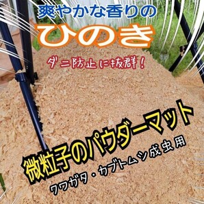 クワガタ・カブトムシの成虫管理はコレです! ヒノキのパウダーマット ダニ防止に抜群! 爽やかな香りで飼育! ケース内が明るくなる