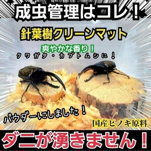 クワガタ・カブトムシの成虫管理はコレです! ヒノキのパウダーマット ダニ防止に抜群! 爽やかな香りで飼育! ケース内が明るくなる!