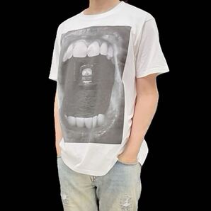 新品 ビッグプリント ミックジャガーの口 トンネル インド タージマハル 世界遺産 おもしろ 不思議 アート Tシャツ ユニセックス Sサイズ