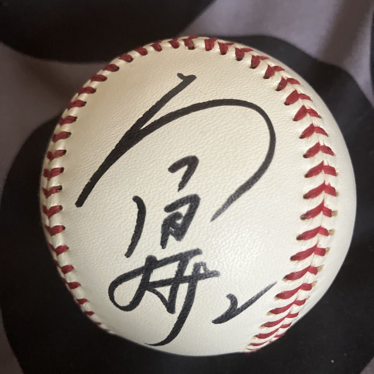 2025年最新】Yahoo!オークション -中日ドラゴンズサインボールの