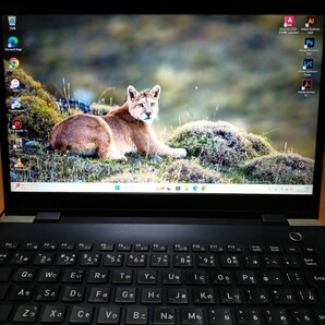 東芝ノート core i5 Windows11 office Adobe illustrator Photoshop Lightroom Classic Autocad2023 SSD 第8世代 全てセットアップ済