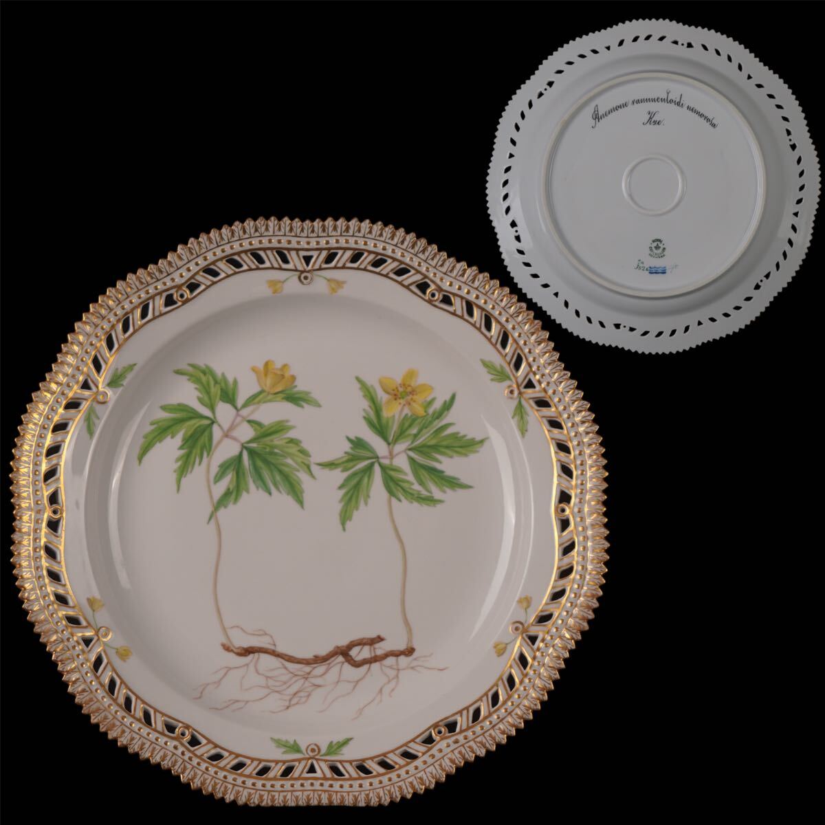 2025年最新】Yahoo!オークション -フローラダニカの中古品・新品