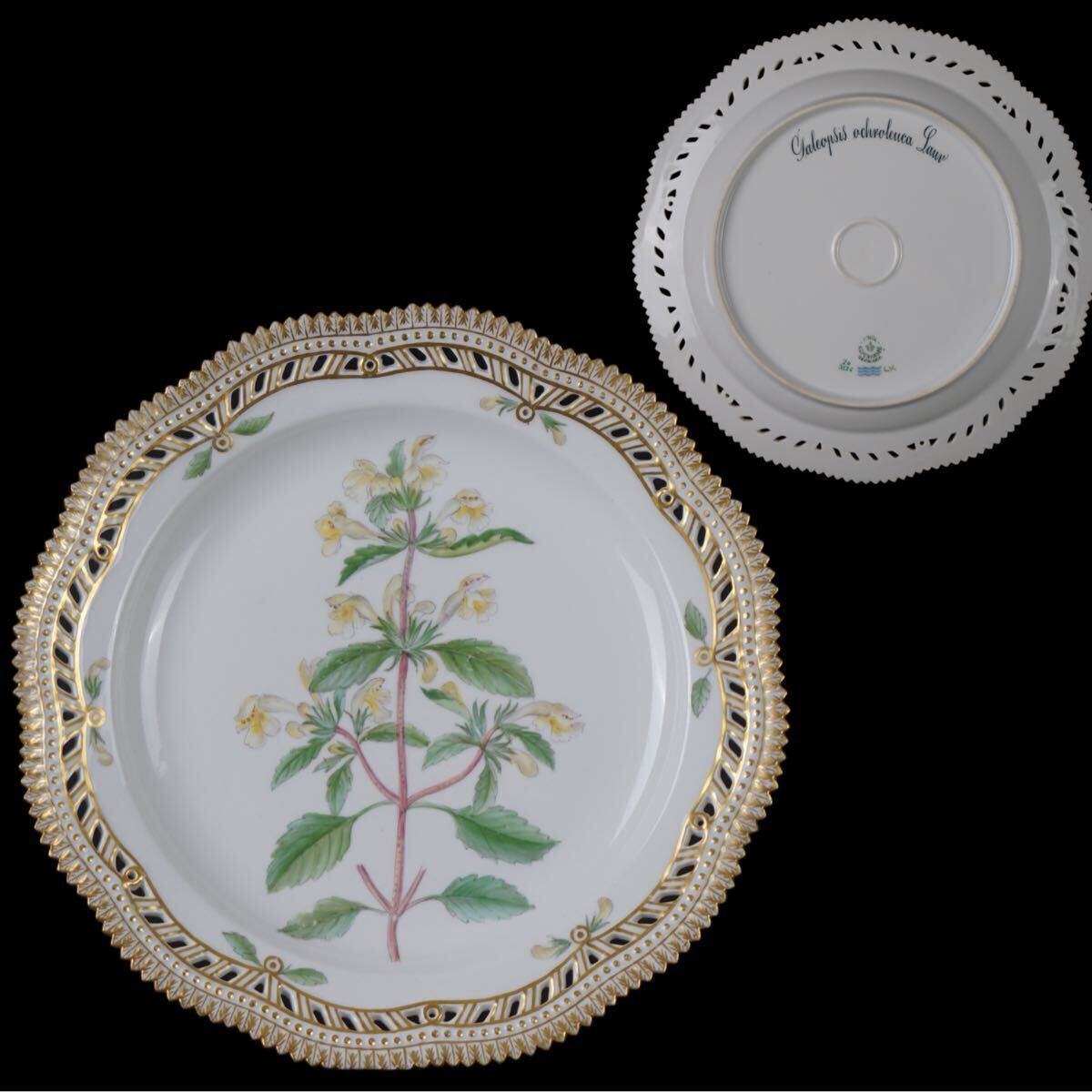 2025年最新】Yahoo!オークション -フローラダニカの中古品・新品