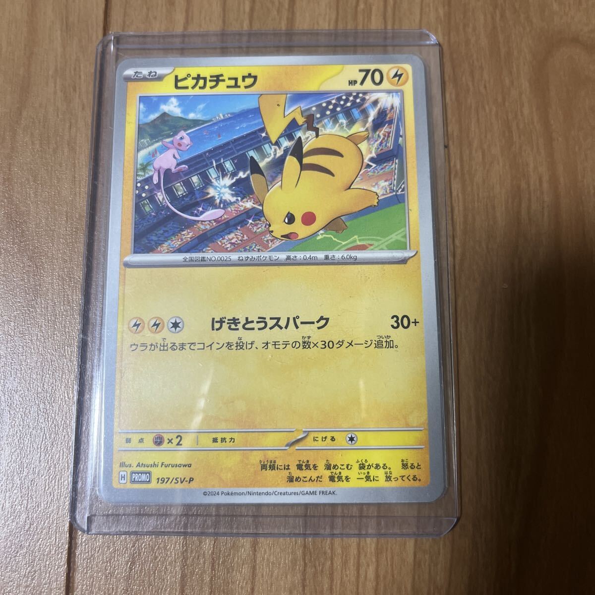 Yahoo!オークション -「ピカチュウ ジムプロモ」の落札相場・落札価格