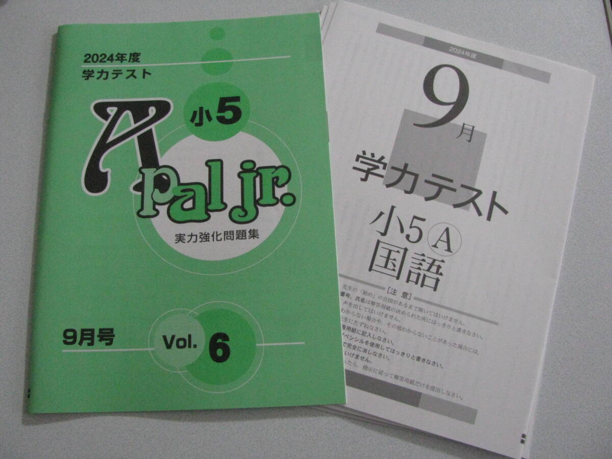 【最新版・新品・未使用】アドバンス・育伸社テストセット