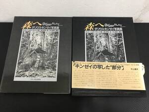 J 送料無料 森へ ダリウス・キンゼイ写真集 付録あり D・ボーン & R・ペチェック アボック社出版局 帯あり 初版