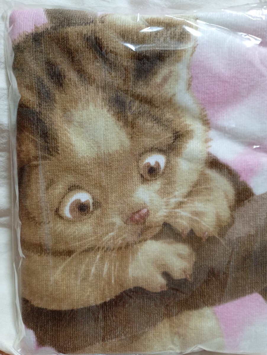 2025年最新】Yahoo!オークション -村松誠 猫の中古品・新品・未