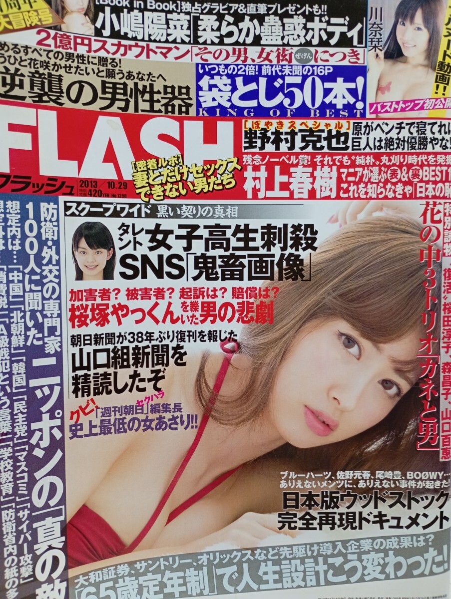 FRIDAY・FLASH 雑誌セット 10冊 Platinum FLASH（プラチナフラッシュ）のバックナンバー | 雑誌