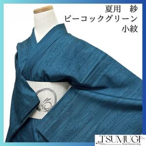 小紋 夏用 立涌 紗 小紋 ピーコックグリーン 紋無し 着物 063a d