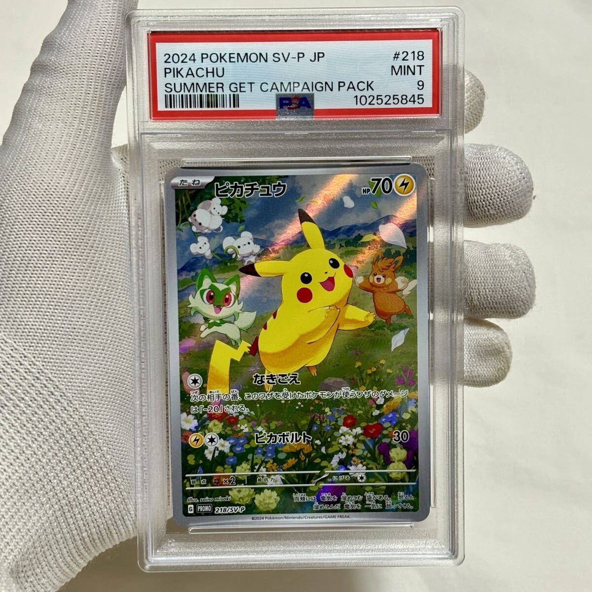 Yahoo!オークション -「ポケモンカード ゲットカード」の落札