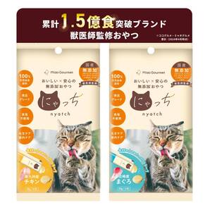 【特価セール】食塩不使用 ペースト グレインフリー ピューレ 低カロリー 猫 毛玉ケア おやつ 腸内ケア 無添加 国産 ご褒美 チ
