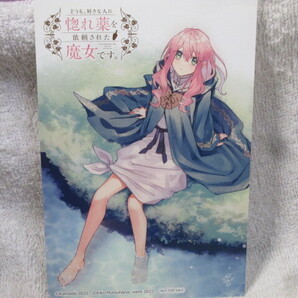 ☆☆☆ どうも、好きな人に惚れ薬を依頼された魔女です。 釜田/六つ花えいこ イラストカード ☆☆☆