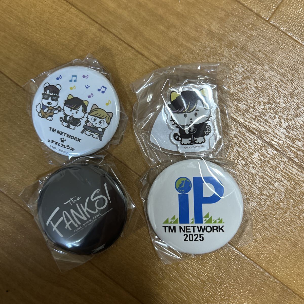 TM NETWORK　２０２４　会場限定　ガチャガチャ　ピンバッジ TM NETWORK会場限定ガチャ ピンバッジとキーホルダー