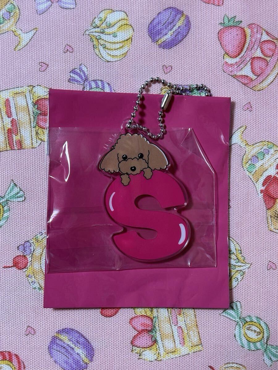 松田聖子　コンサート　ライブ　グッズ　似顔絵　パスケース　チケット入れ 松田聖子 コンサート ライブ グッズ 似顔絵 パスケース チケット