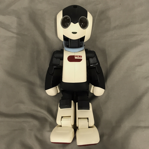 1円〜 訳あり ジャンク デアゴスティーニ Robi ロボット 本体 Robi2専用 ACアダプター 他