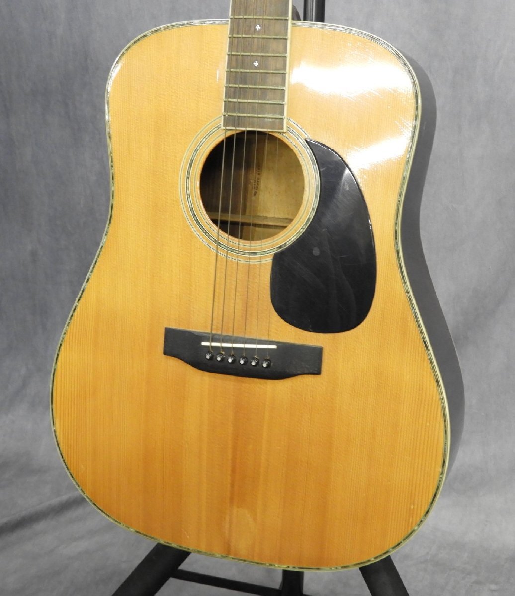 Morris & Co. アコースティックギター W 50 H Morris W-50H モーリス アコースティックギター