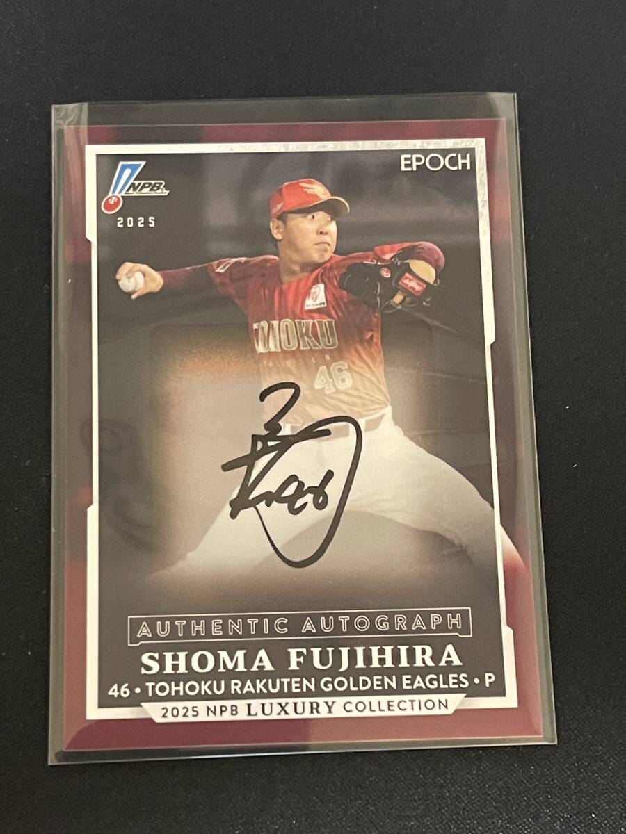 Yahoo!オークション -「藤平尚真サイン」の落札相場・落札価格