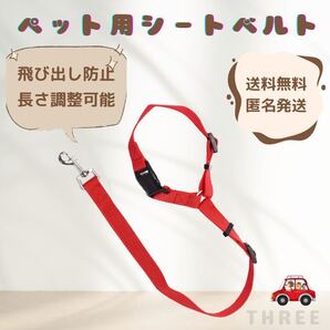 【飛び出す防止】シートベルト ペット 犬 猫 ドライブ 車用 リード レッド