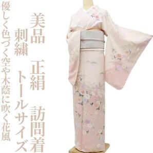 【ゆめsaku】美品 刺繍 正絹 袷 着物 トールサイズ“優しく色づく空や木蔭に吹く花風”訪問着 O-61