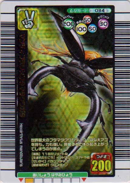 2025年最新】Yahoo!オークション -ムシキング マンディブラリス