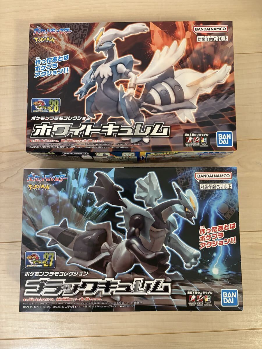 ポケットモンスター ブラック2 新品 未使用 Nintendo DS用ソフト ポケットモンスターブラック2 CERO A (全