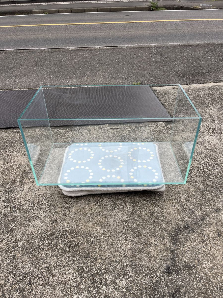 2025年最新】Yahoo!オークション - 90cm～(水槽 魚、水草)の中古