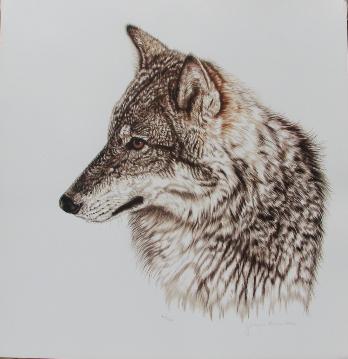 ジャッキーマリーヴォーグ「リクライニングタイガー」オフセットリト,希少 ジャッキーマリーヴォーグ「リクライニングタイガー」オフセット