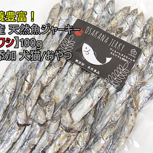 栄養たっぷり!国産 天然魚ジャーキー 【イワシ】100g 無添加 犬猫/おやつ